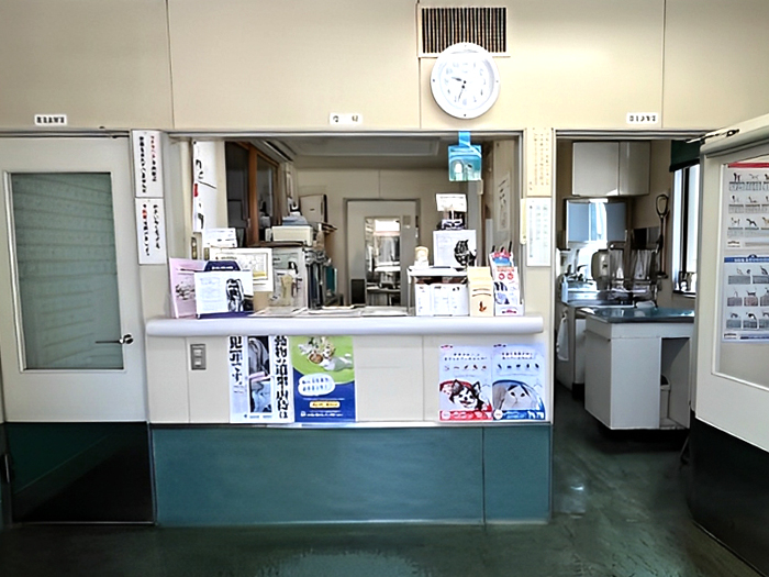 焼津動物病院
