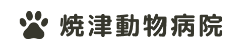 焼津動物病院